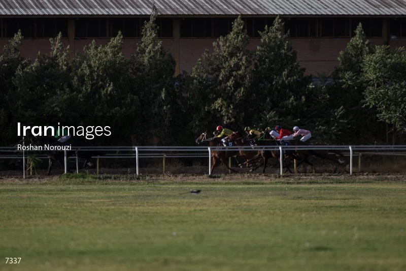Tehran Horse Riding Summer Event