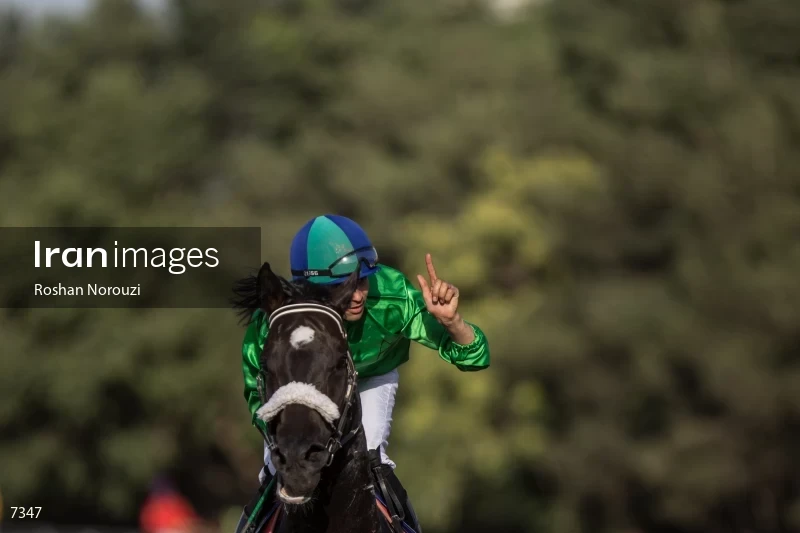Tehran Horse Riding Summer Event
