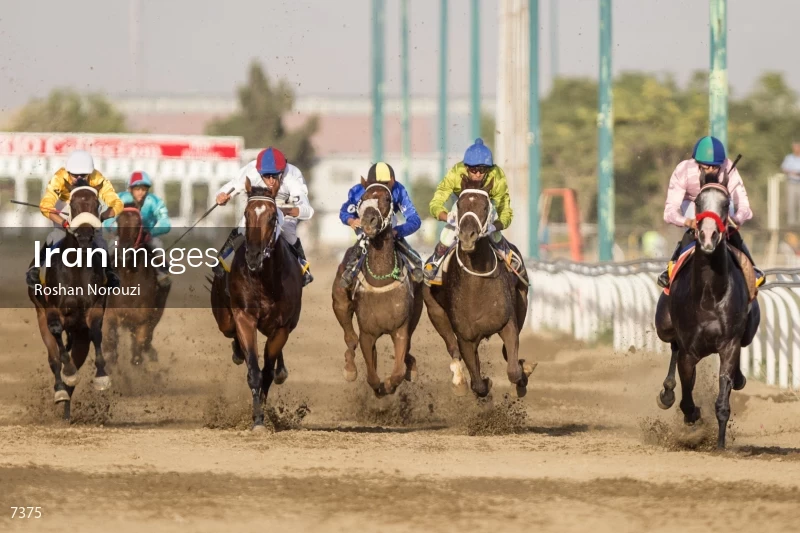 Tehran Horse Riding Summer Event