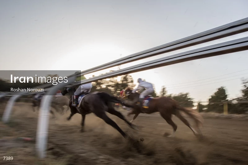 Tehran Horse Riding Summer Event