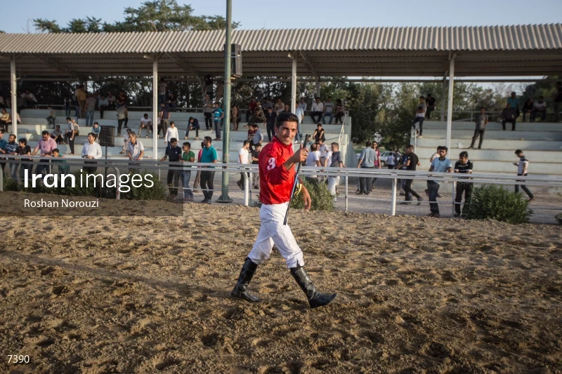 Tehran Horse Riding Summer Event