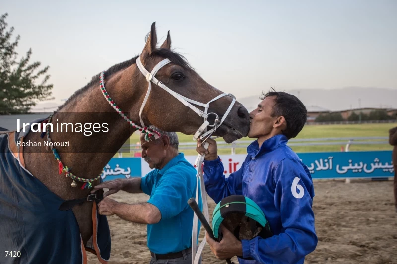 Tehran Horse Riding Summer Event