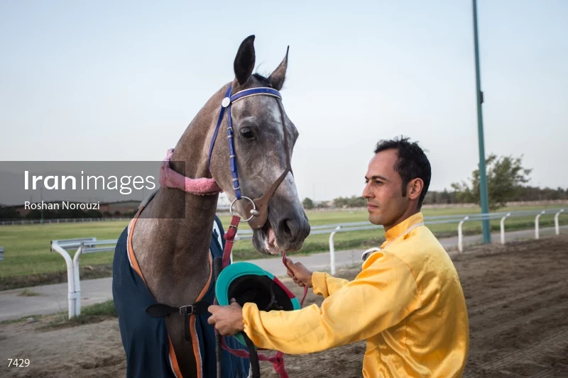 Tehran Horse Riding Summer Event