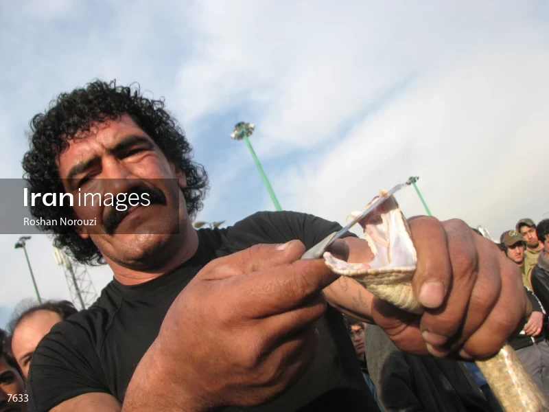Akbar Sarabi the Champion
