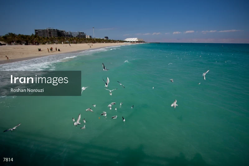 Kish Island