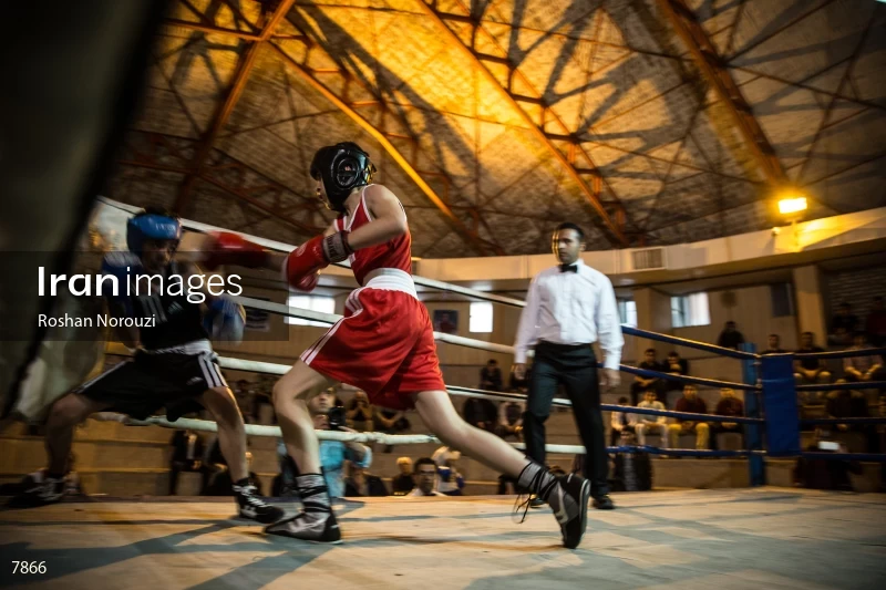 The Quartet boxing tournament