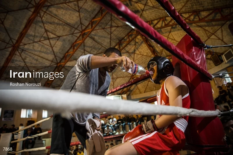 The Quartet boxing tournament