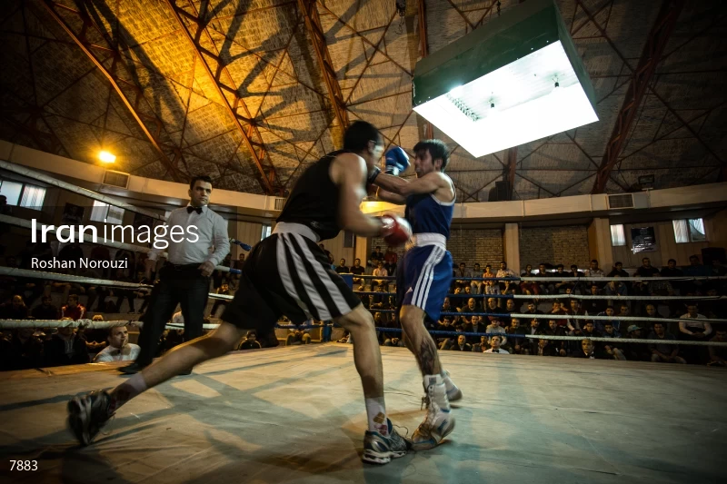 The Quartet boxing tournament