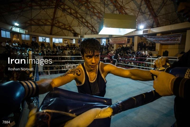 The Quartet boxing tournament