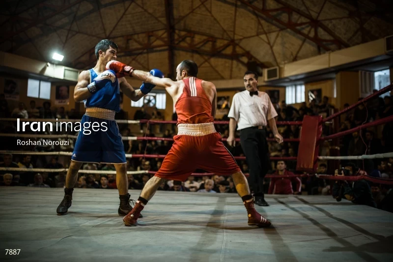 The Quartet boxing tournament