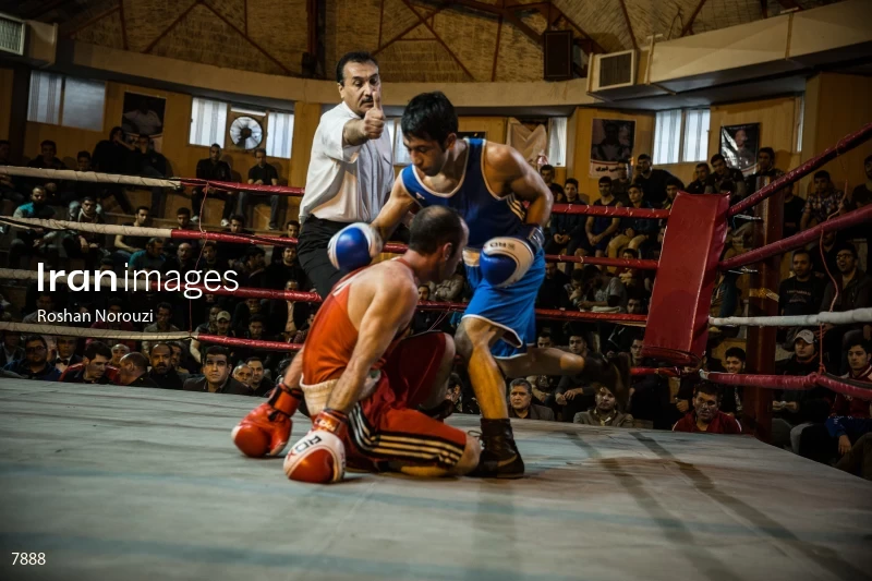 The Quartet boxing tournament