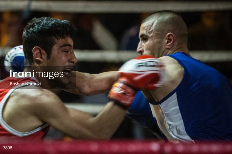 The Quartet boxing tournament