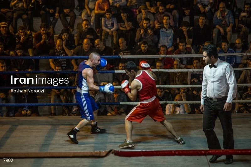 The Quartet boxing tournament
