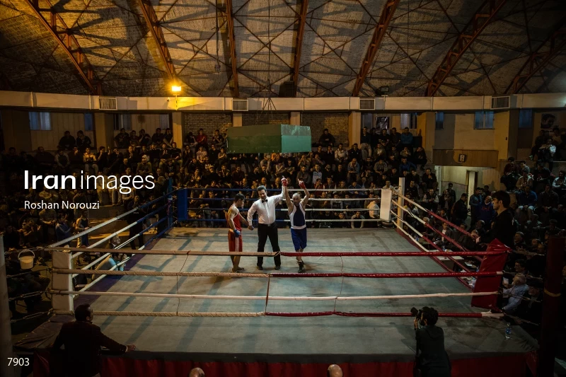 The Quartet boxing tournament