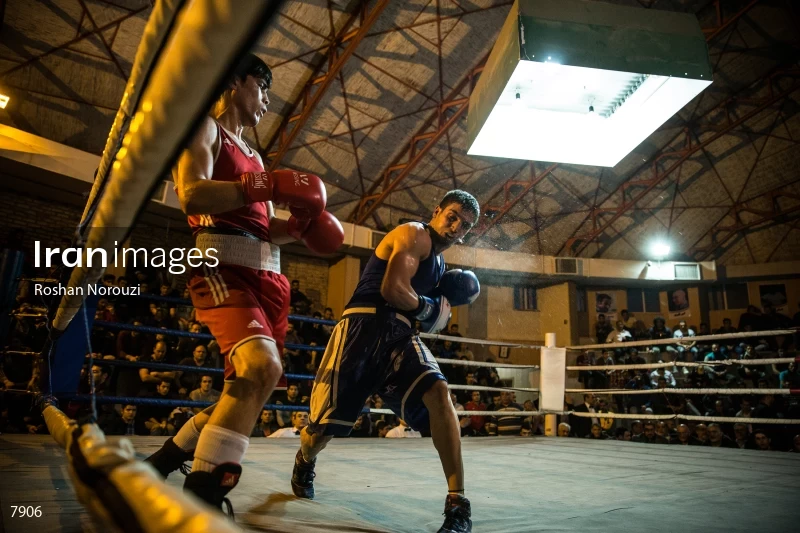 The Quartet boxing tournament