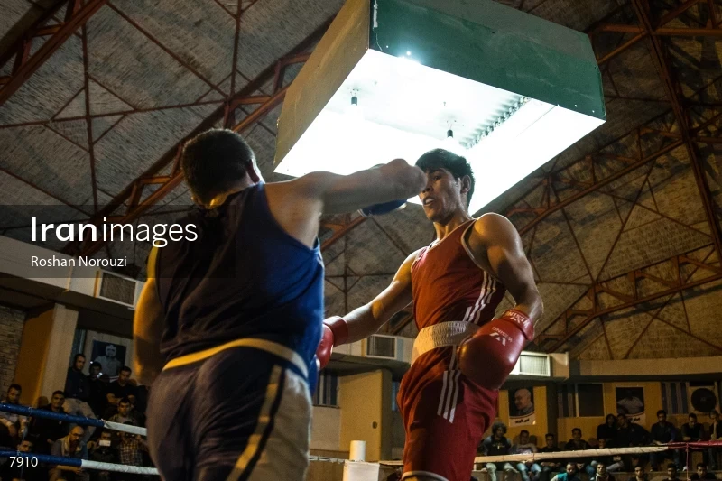 The Quartet boxing tournament