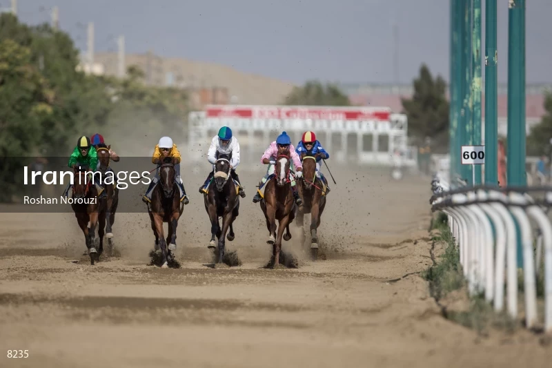 Tehran Horse Riding Summer Event