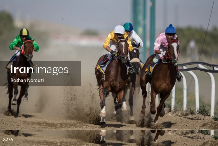 Tehran Horse Riding Summer Event