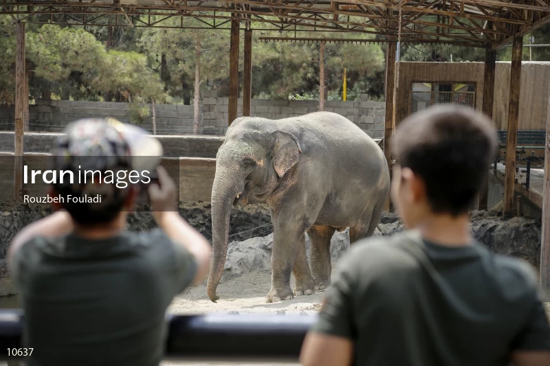 Tehran Zoological Garden