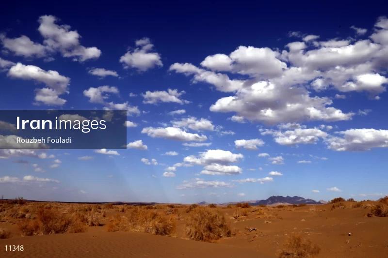 Mesr desert
