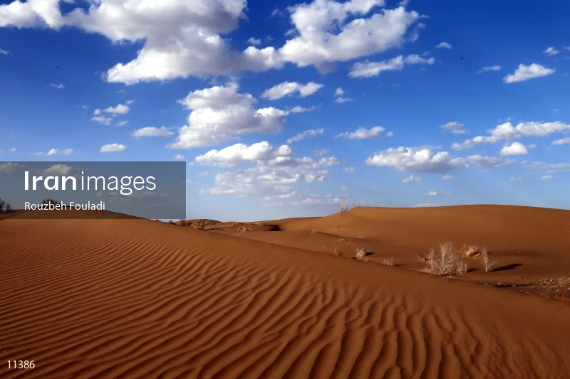 Mesr desert