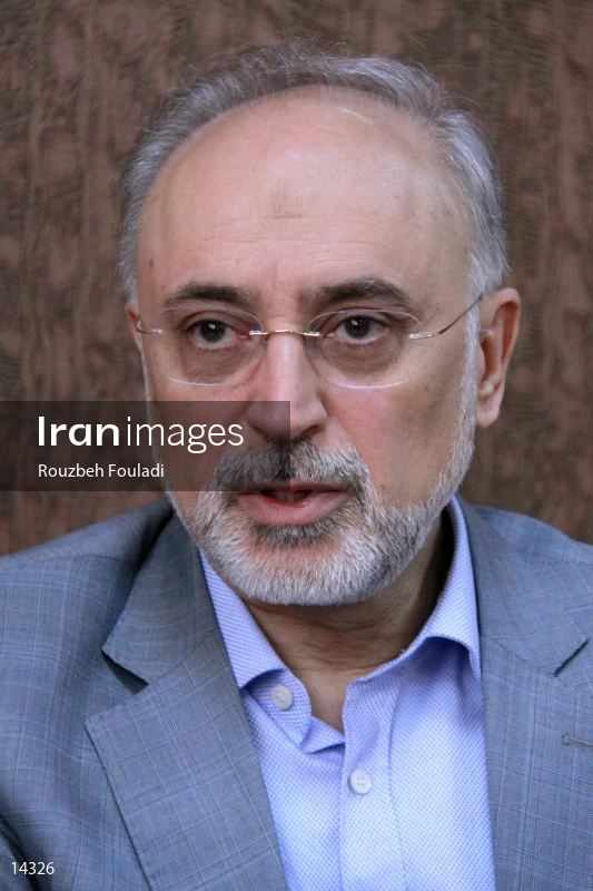 Ali Akbar Salehi