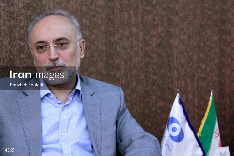 Ali Akbar Salehi