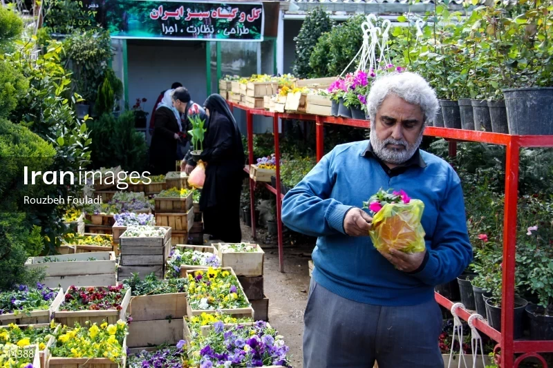 Tehran Flower Market