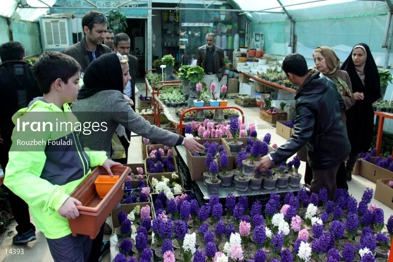 Tehran Flower Market