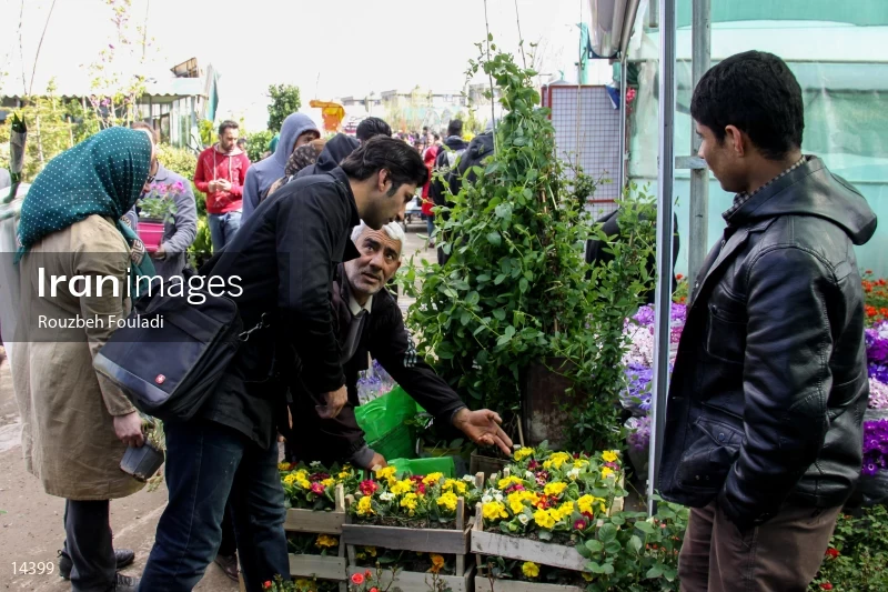Tehran Flower Market
