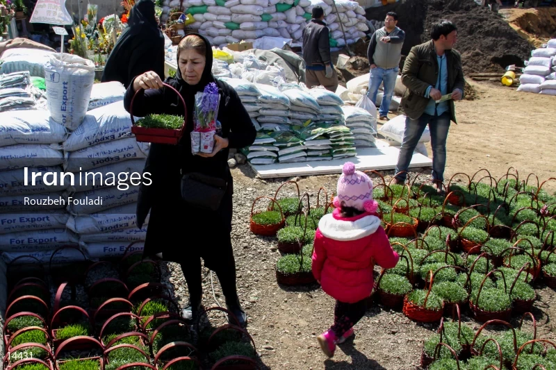 Tehran Flower Market