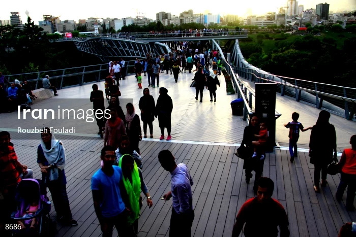 Tabiat Bridge