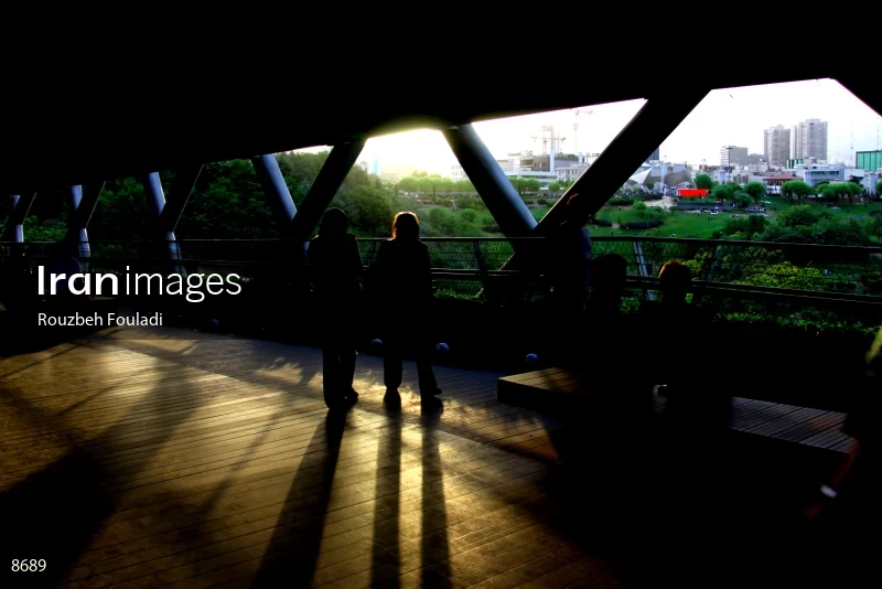 Tabiat Bridge