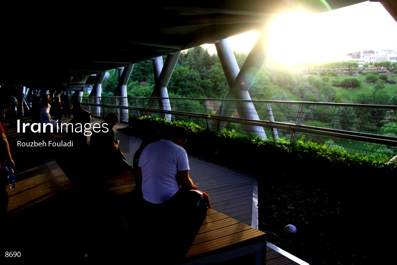 Tabiat Bridge
