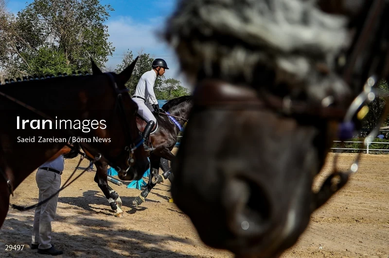 Armos Cup international horse jumping competition