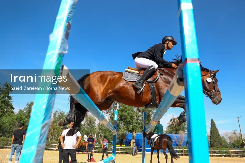 Armos Cup international horse jumping competition