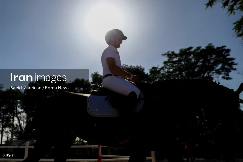 Armos Cup international horse jumping competition