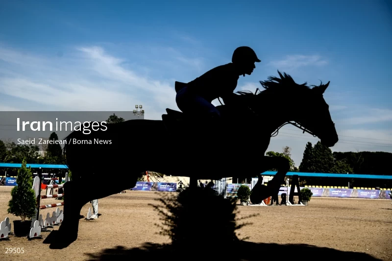 Armos Cup international horse jumping competition