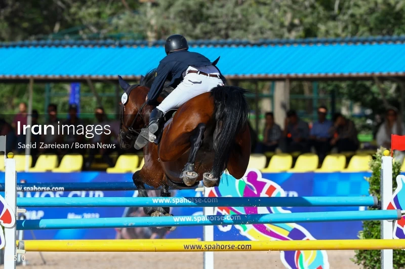 Armos Cup international horse jumping competition