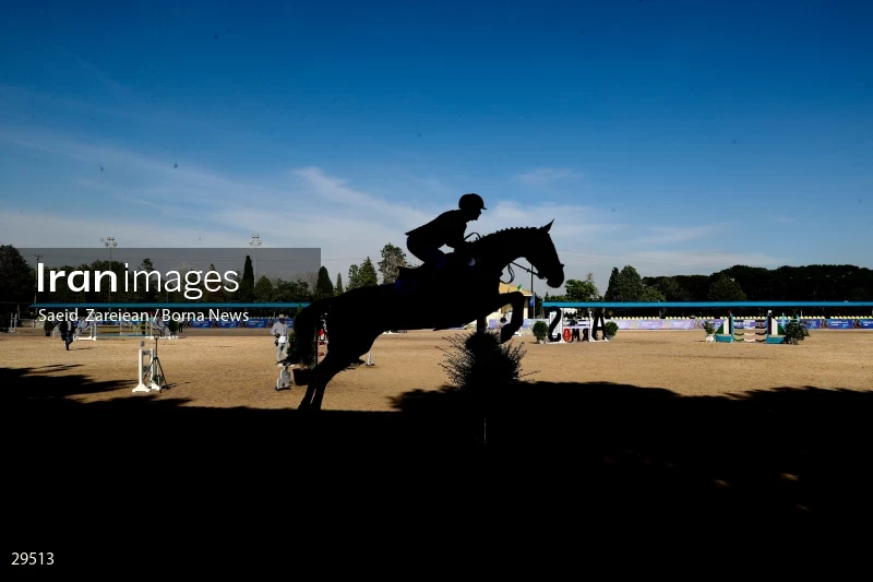 Armos Cup international horse jumping competition