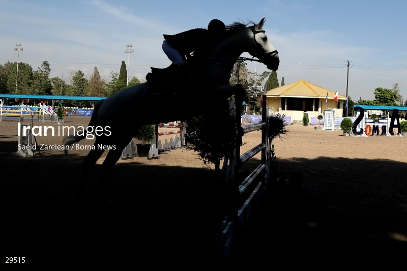 Armos Cup international horse jumping competition