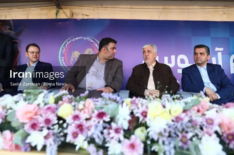 Armos Cup international horse jumping competition