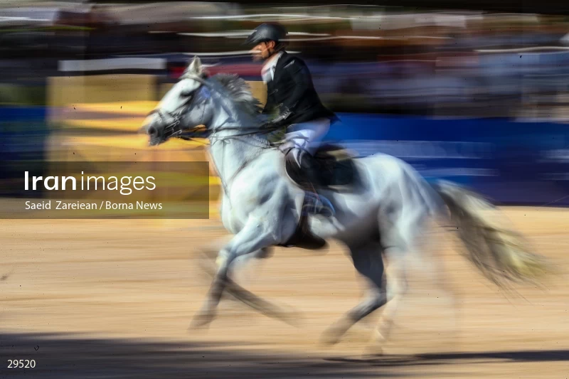 Armos Cup international horse jumping competition