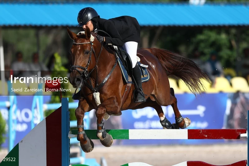 Armos Cup international horse jumping competition