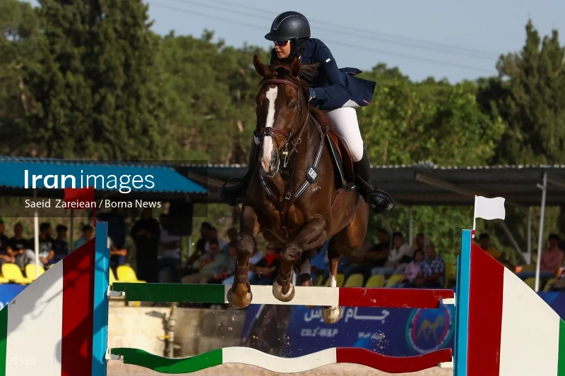 Armos Cup international horse jumping competition