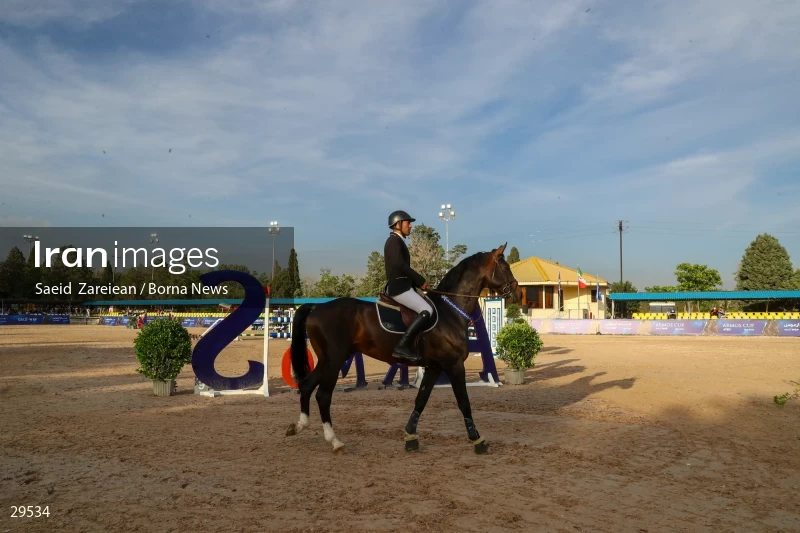 Armos Cup international horse jumping competition