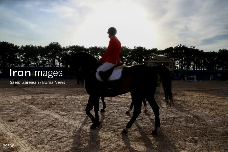 Armos Cup international horse jumping competition