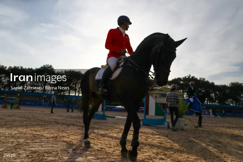 Armos Cup international horse jumping competition