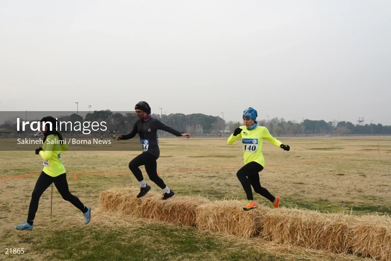 Cross country running competitions