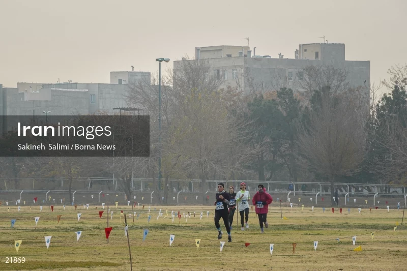Cross country running competitions